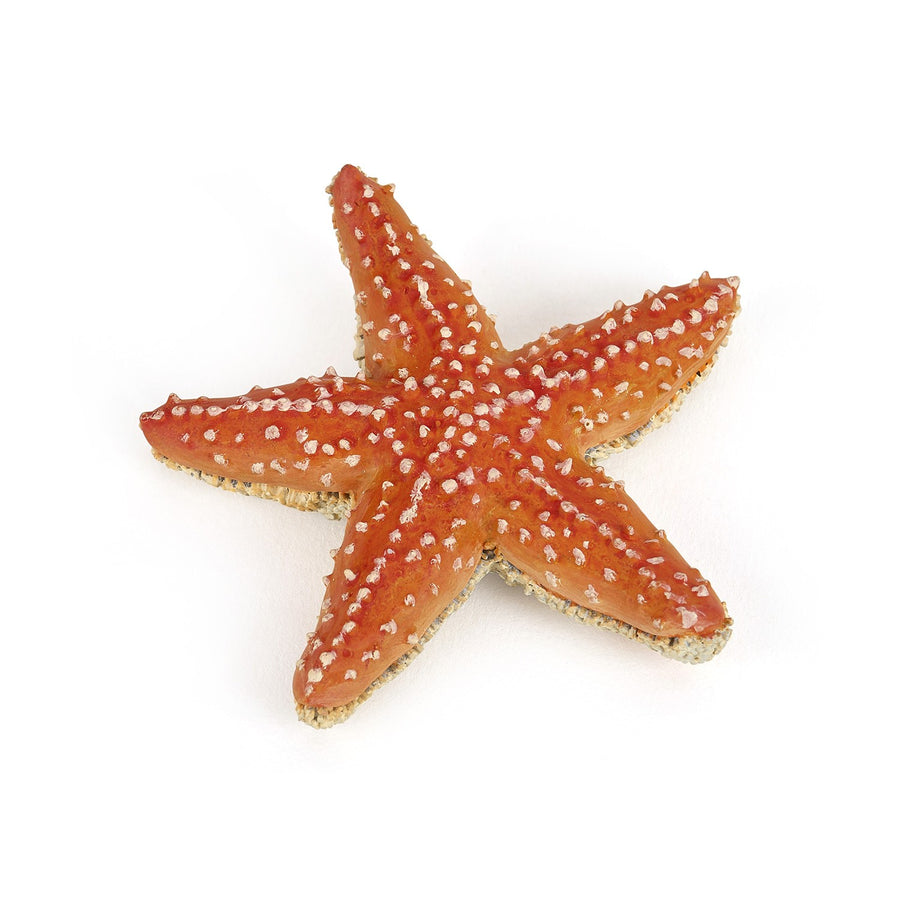 Starfish Figurine