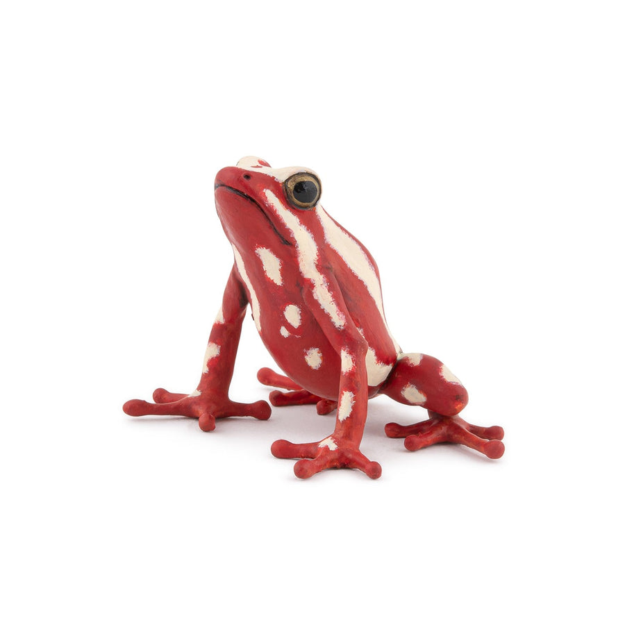 Figurine Grenouille flèche tricolore
