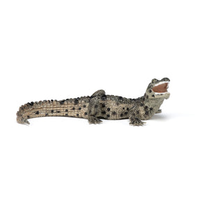 Figurine Bébé crocodile