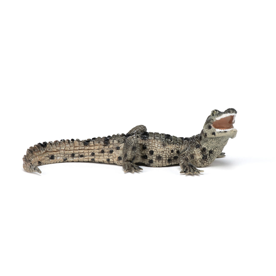 Baby Crocodile Figurine