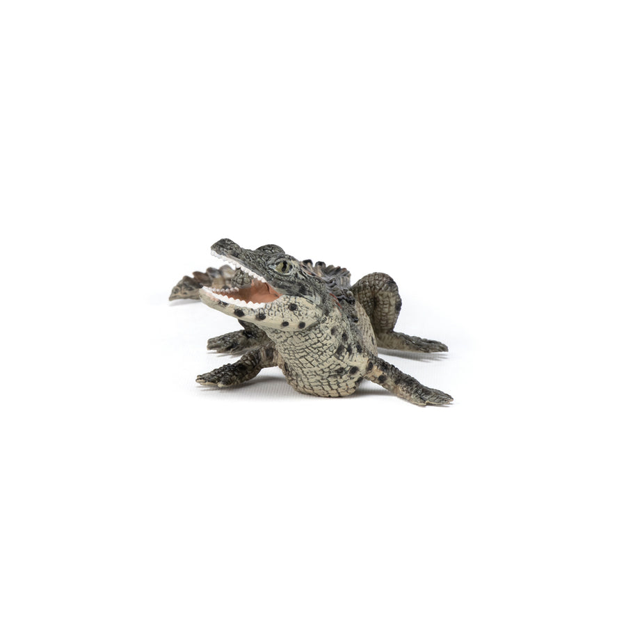 Baby Crocodile Figurine