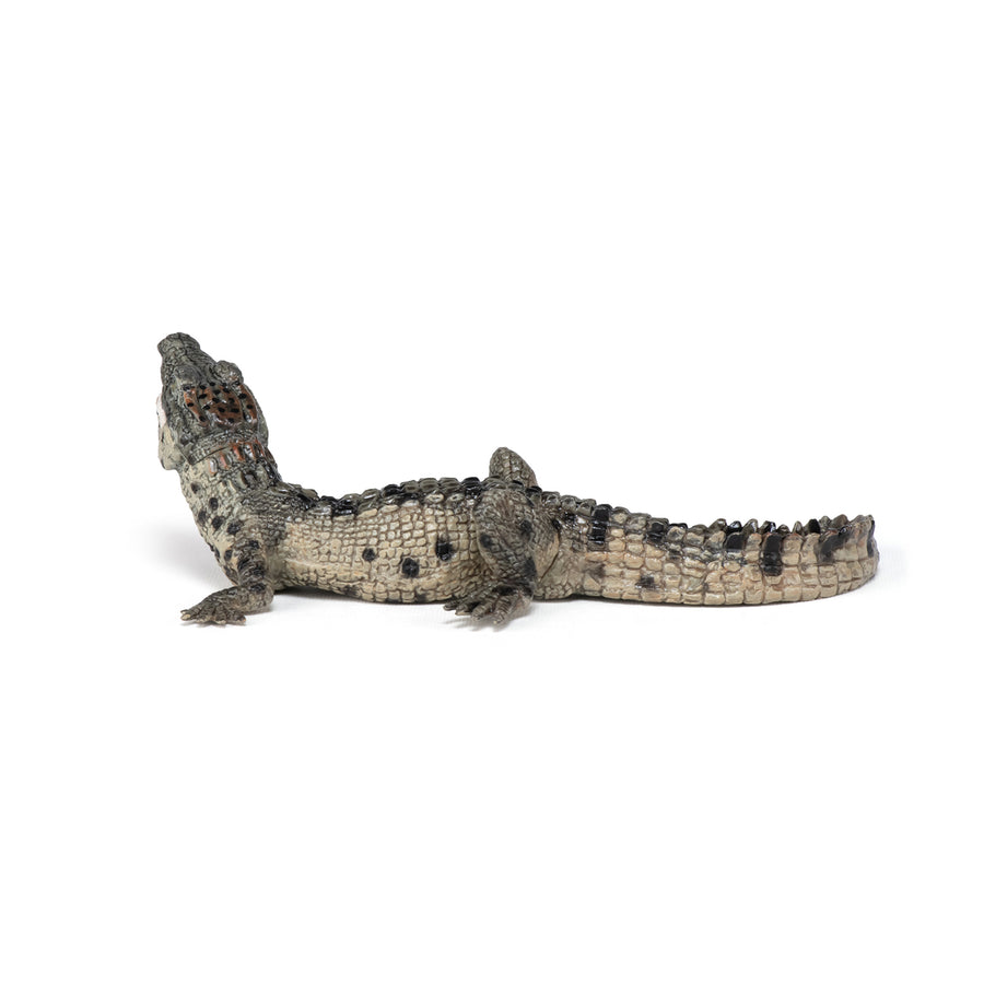 Baby Crocodile Figurine