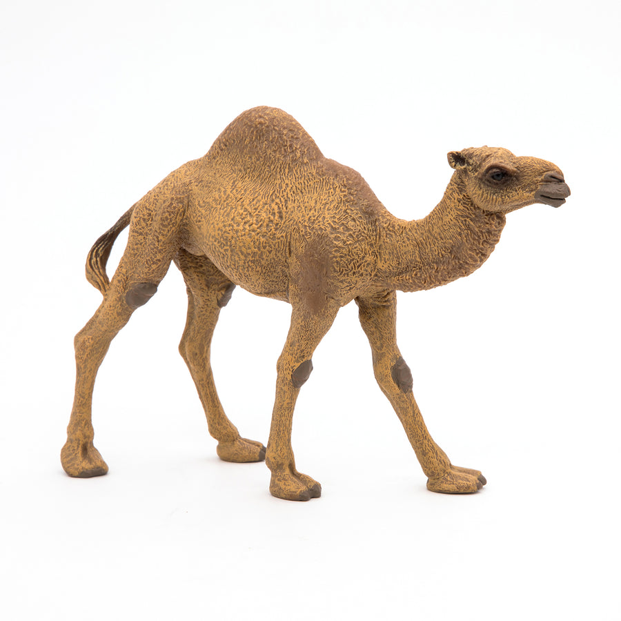Dromedary Figurine