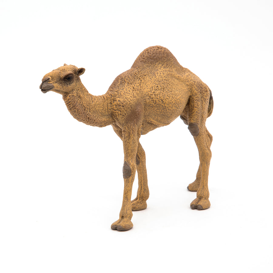 Dromedary Figurine
