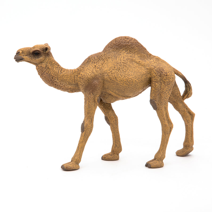 Dromedary Figurine