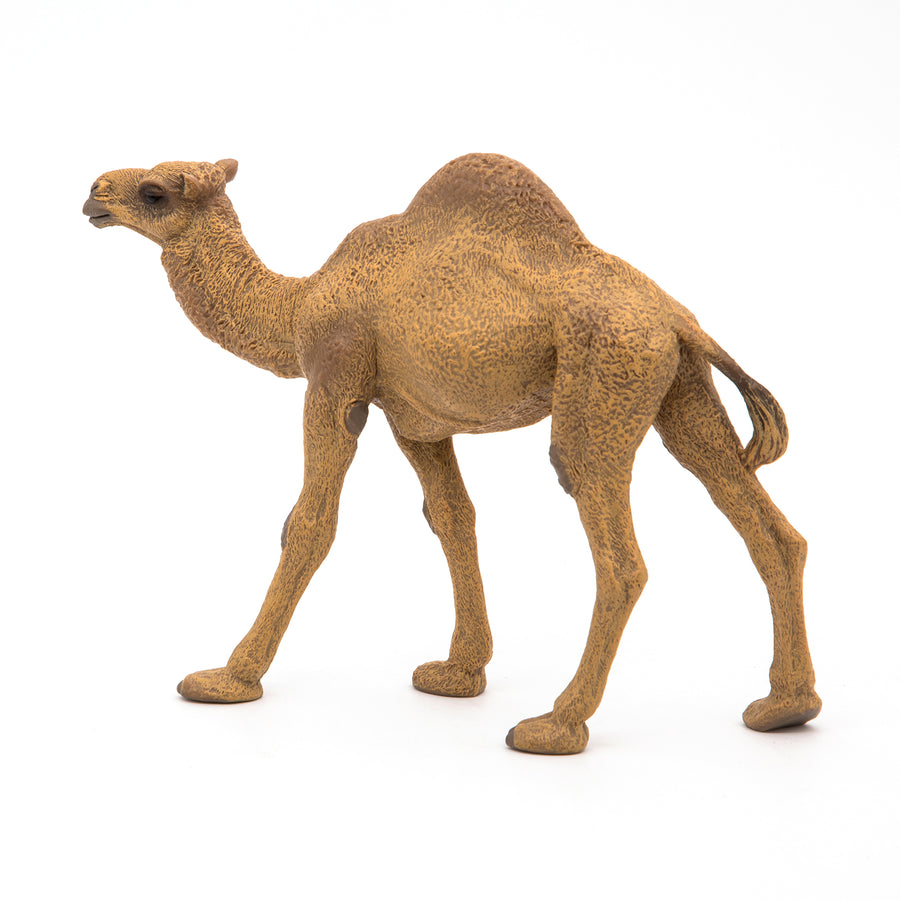 Dromedary Figurine
