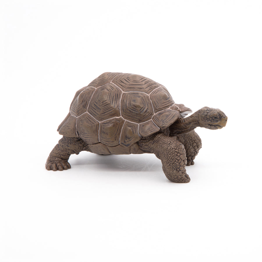 Figurine Tortue des Galápagos