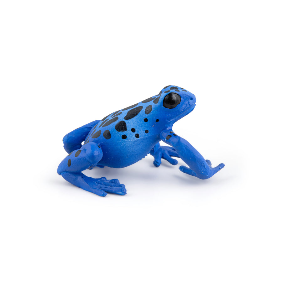 Figurine Grenouille équatoriale bleue