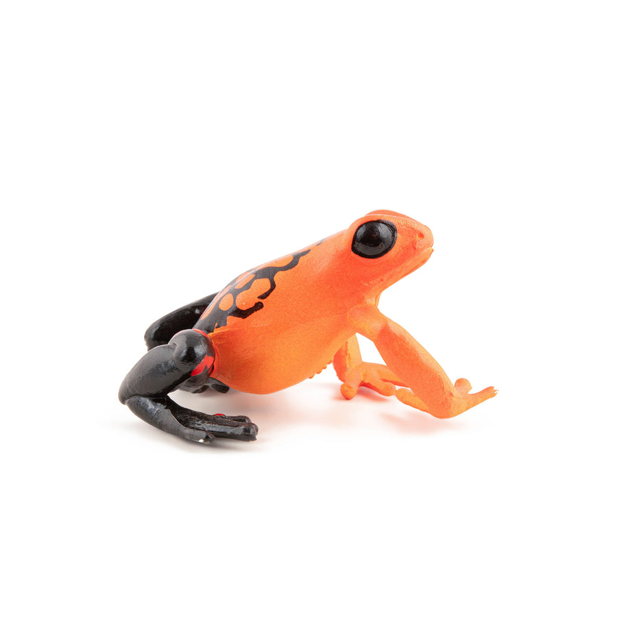 Figurine Grenouille équatoriale rouge
