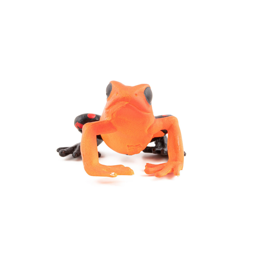 Figurine Grenouille équatoriale rouge