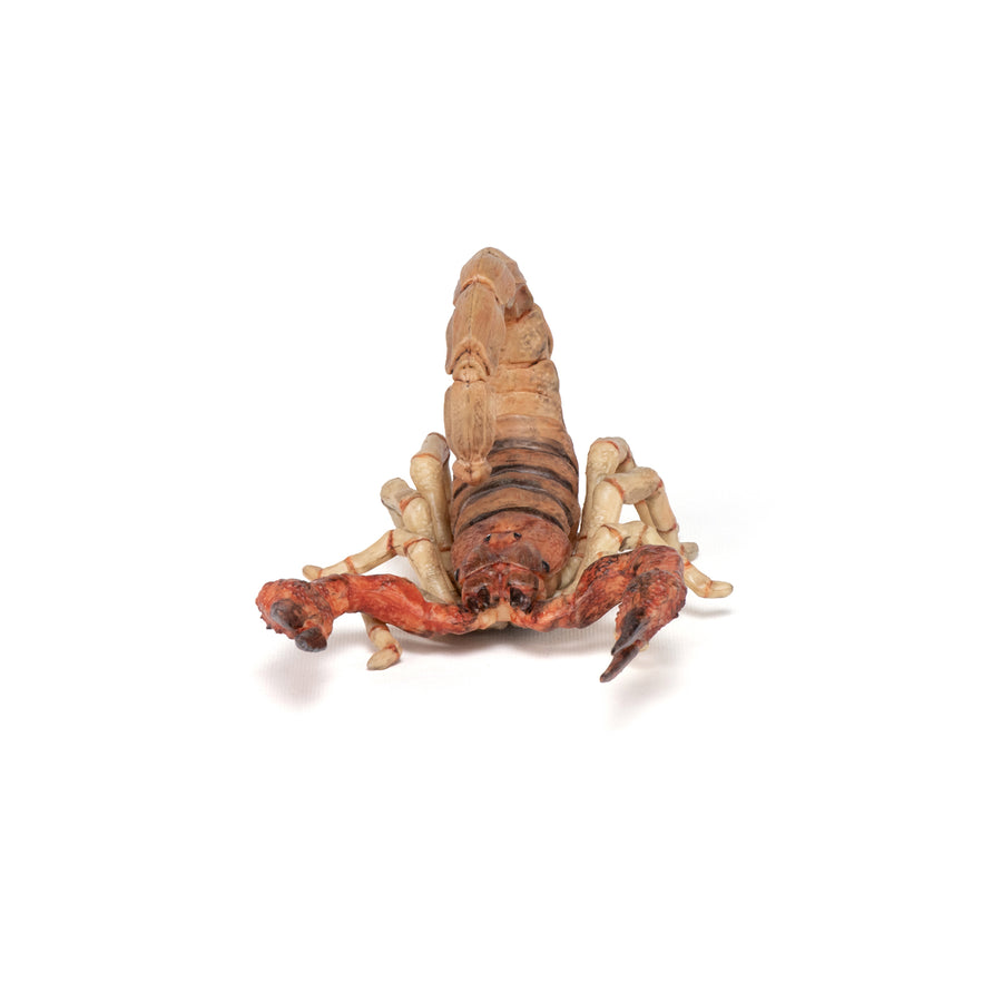 Figurine Scorpion