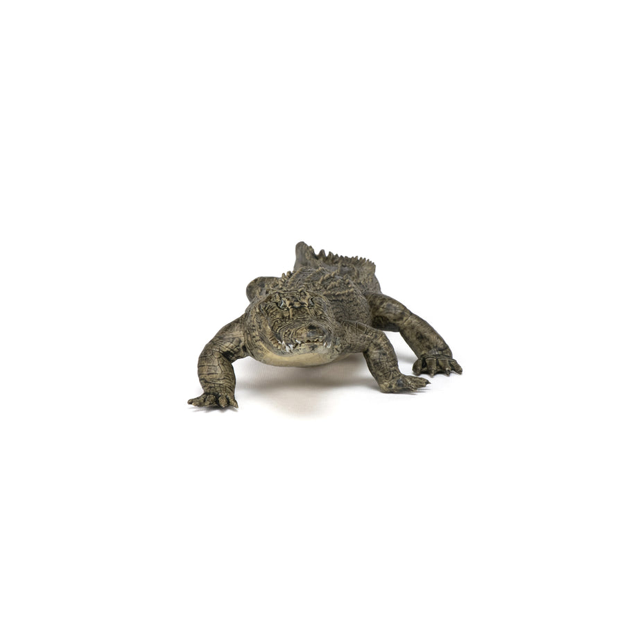 Figurine Alligator