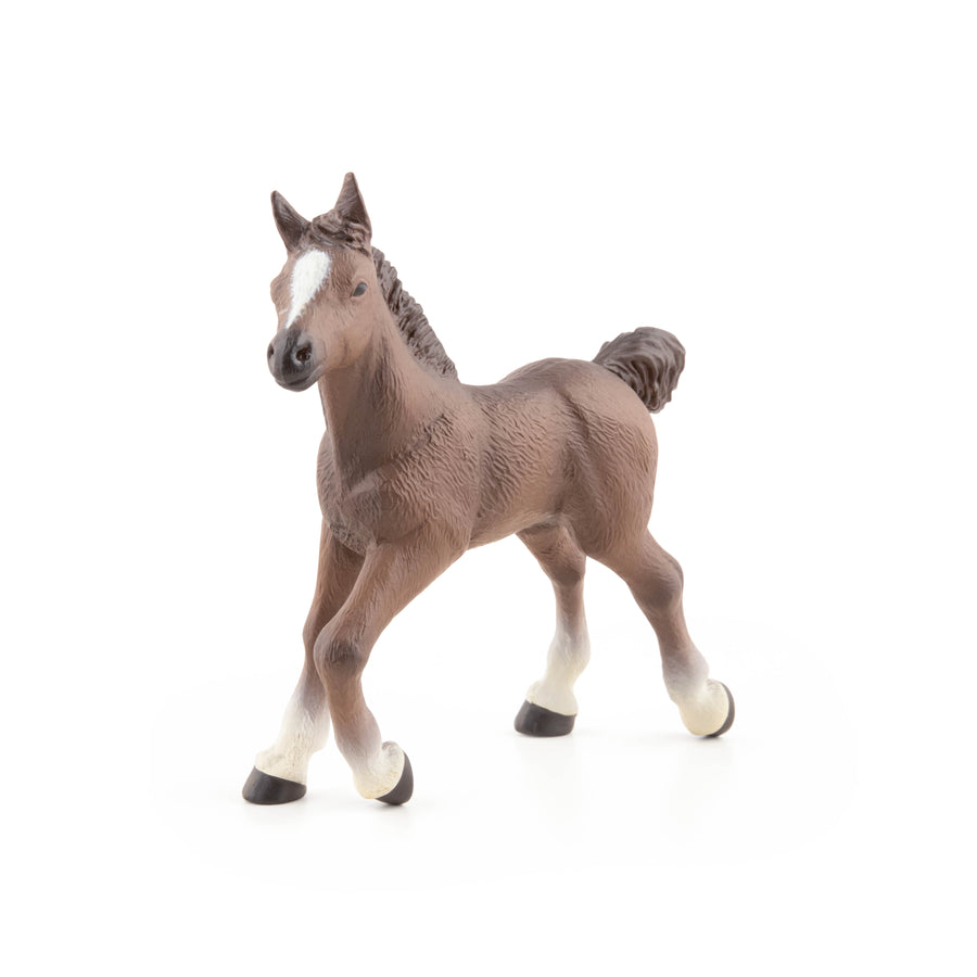 Anglo-Arab Foal Figurine