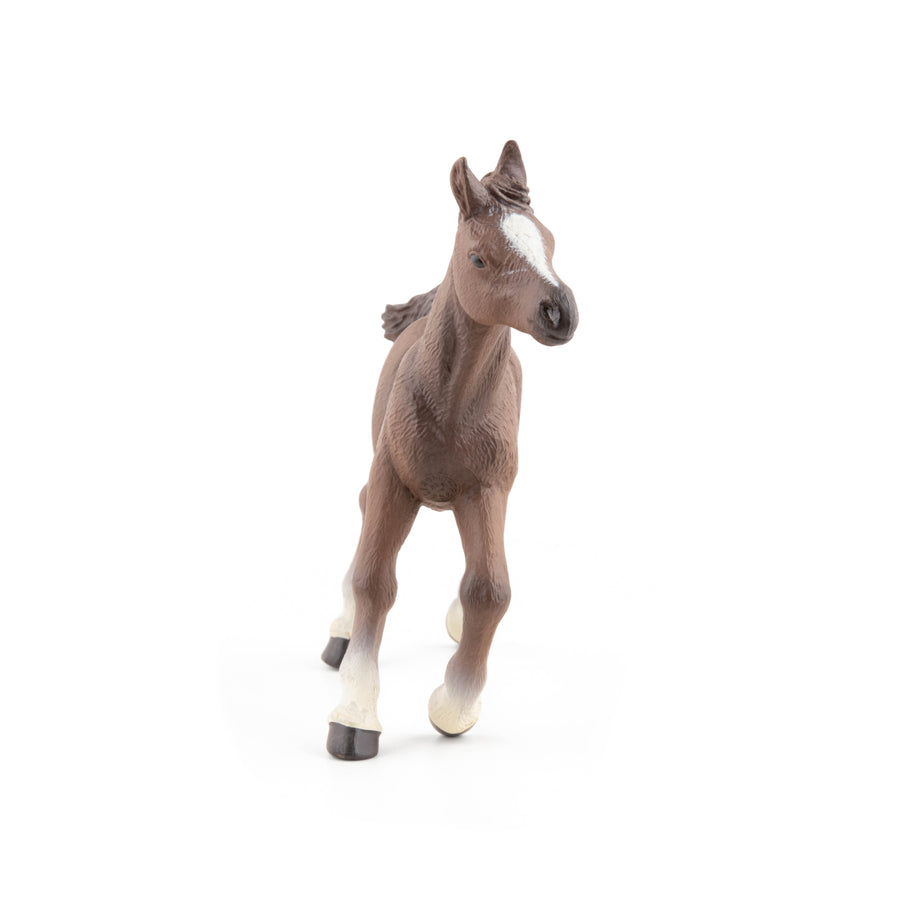 Anglo-Arab Foal Figurine