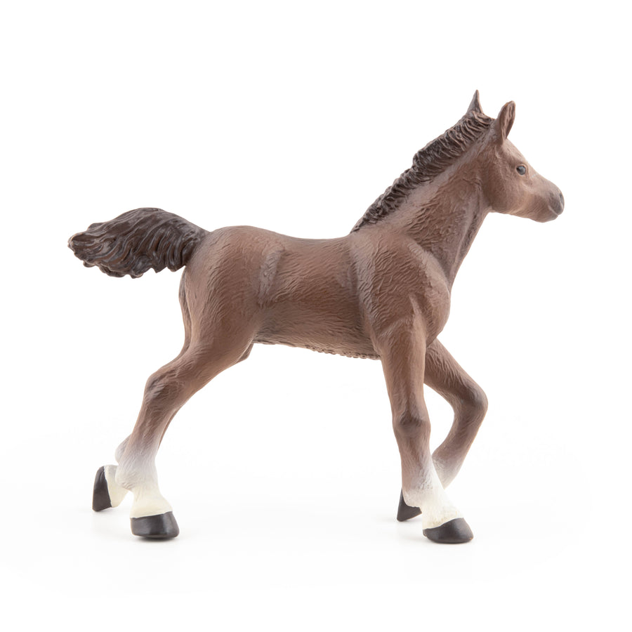 Anglo-Arab Foal Figurine