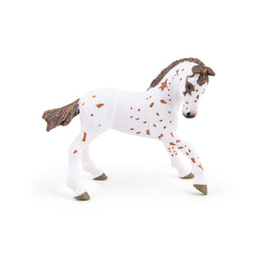 Figurine Poulain appaloosa brun