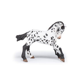 Black Appaloosa Foal Figurine