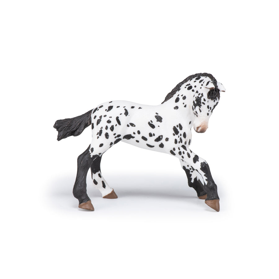 Black Appaloosa Foal Figurine
