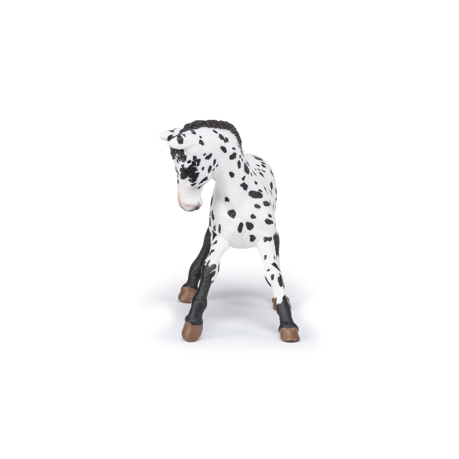 Black Appaloosa Foal Figurine