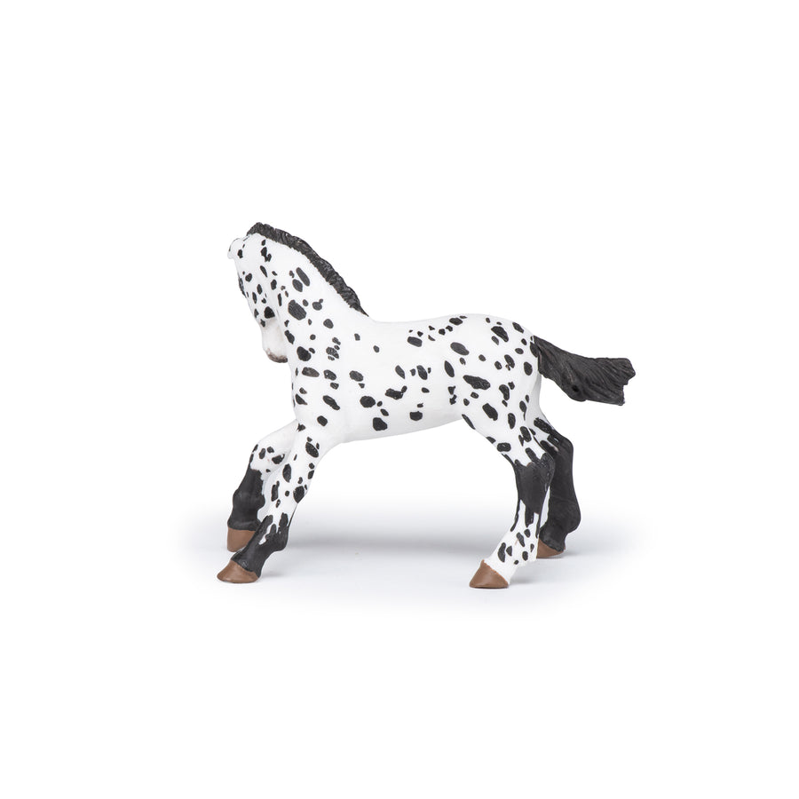 Black Appaloosa Foal Figurine