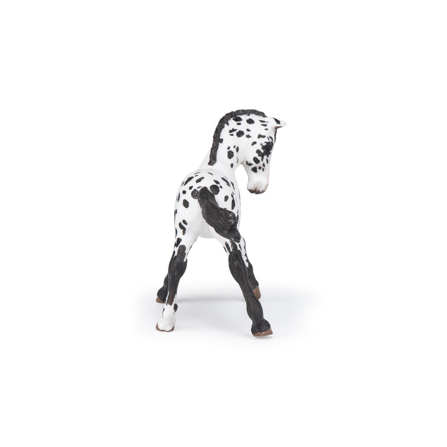 Black Appaloosa Foal Figurine