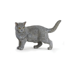 Figurine Chartreux
