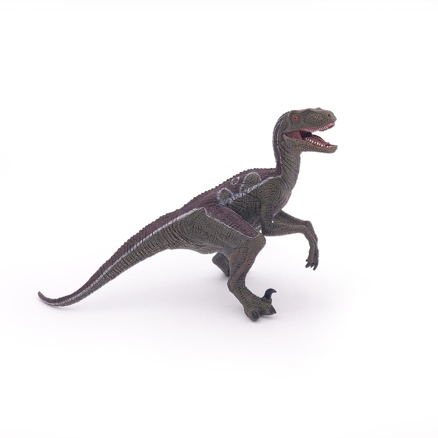 Figurine Vélociraptor
