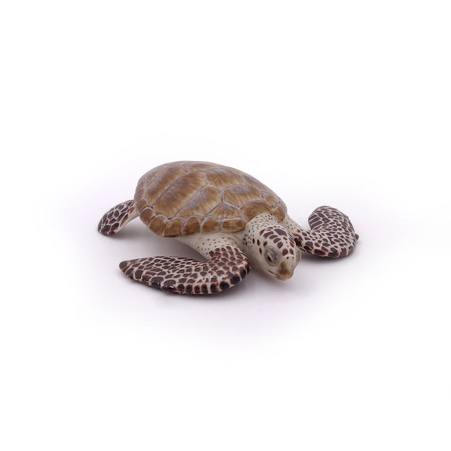 Loggerhead Turtle Figurine