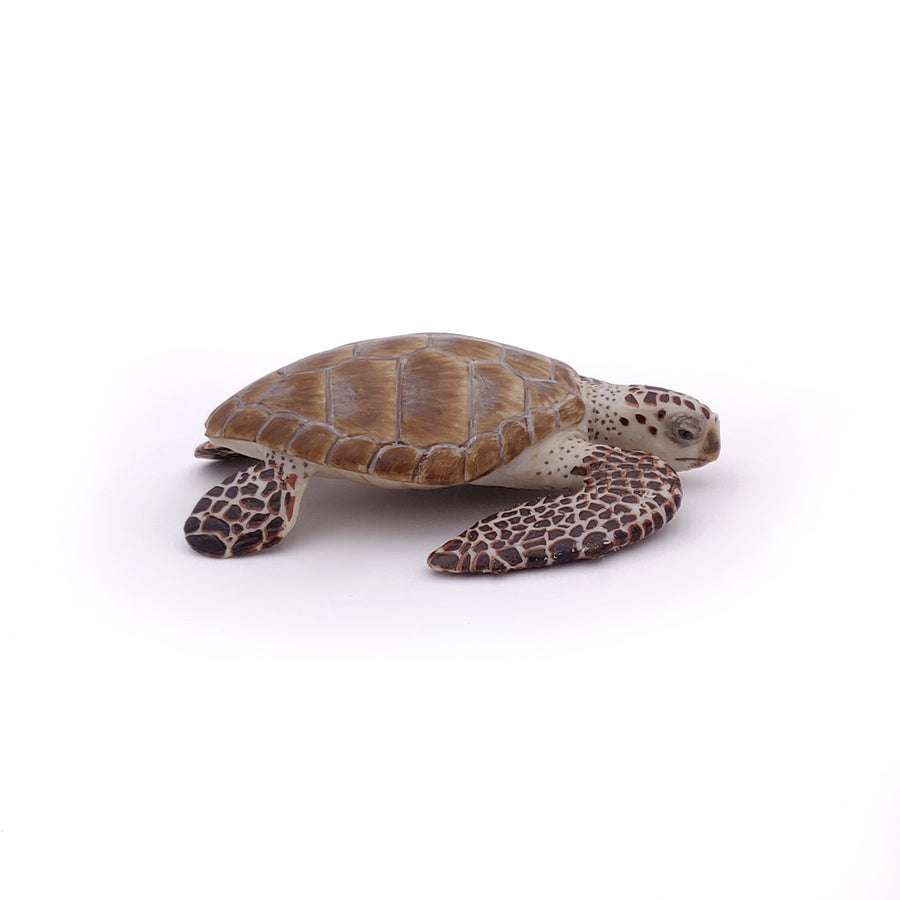 Loggerhead Turtle Figurine