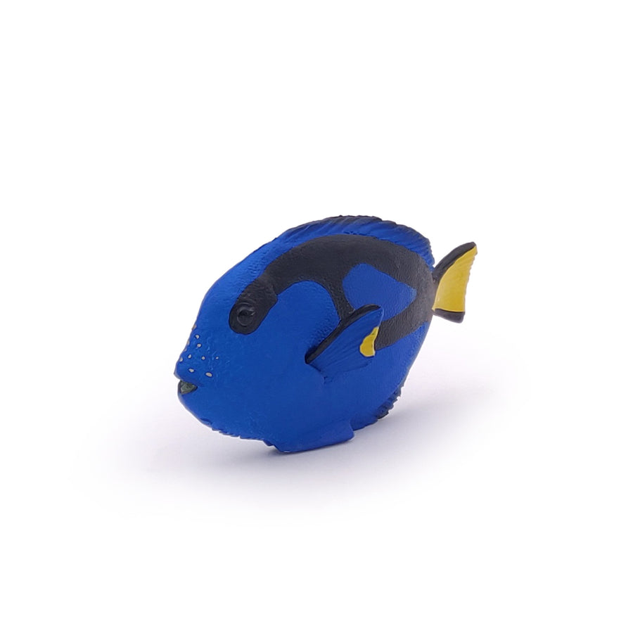 Figurine Poisson chirurgien