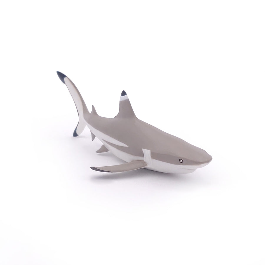 Figurine Requin à pointes noires