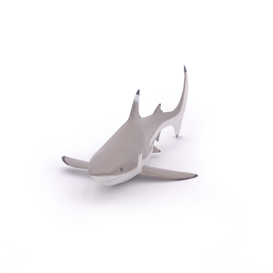 Figurine Requin à pointes noires