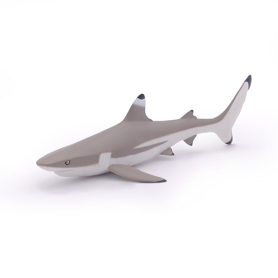Figurine Requin à pointes noires
