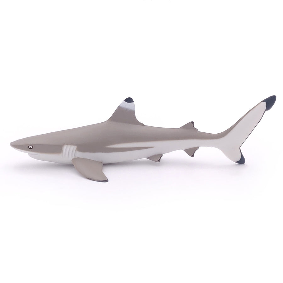 Figurine Requin à pointes noires
