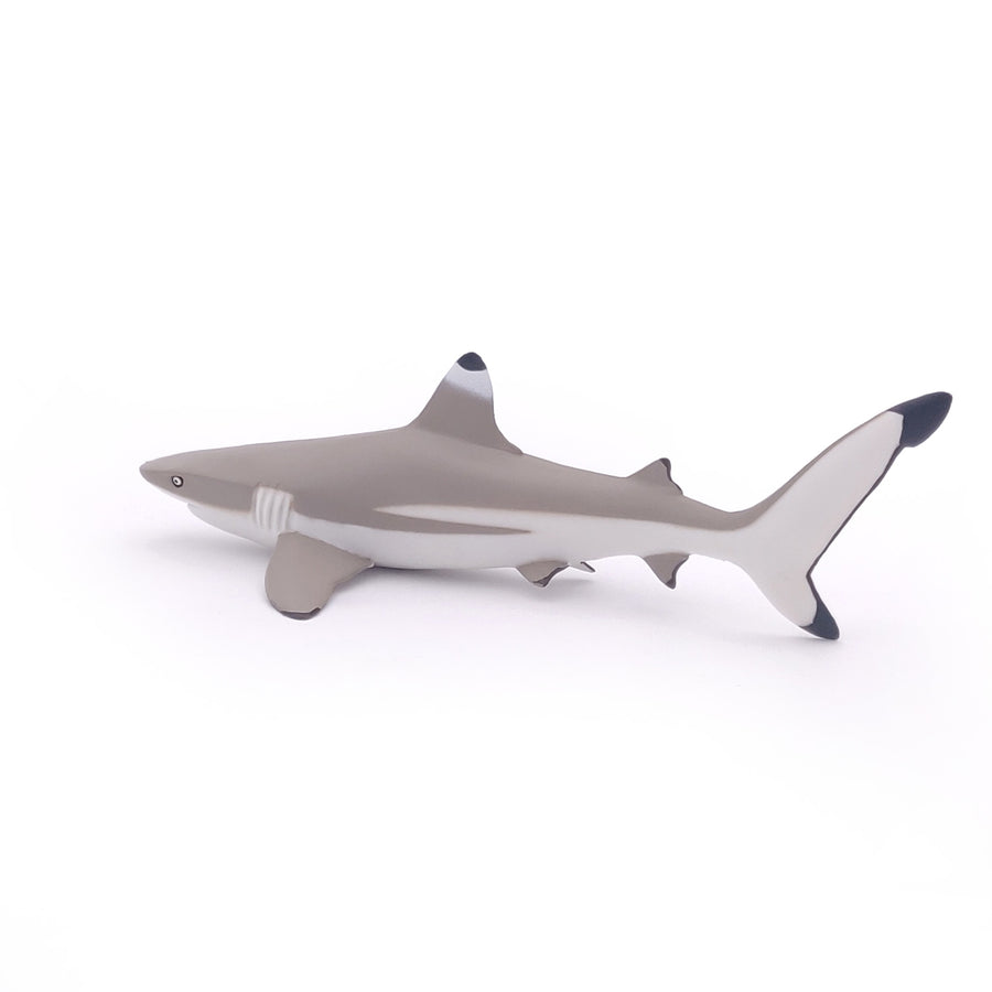Figurine Requin à pointes noires