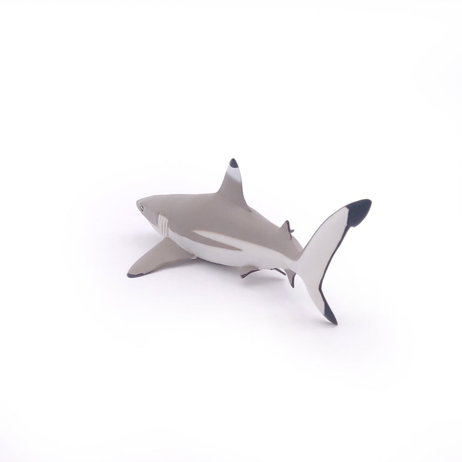 Figurine Requin à pointes noires