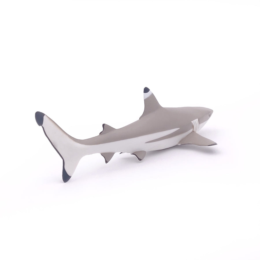 Figurine Requin à pointes noires