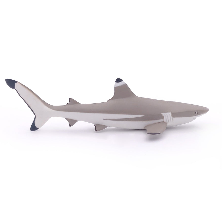Figurine Requin à pointes noires