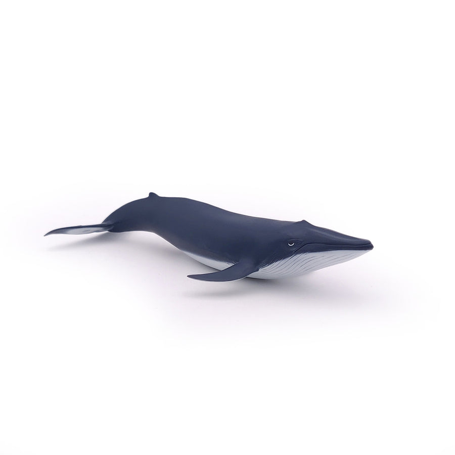 Figurine Bébé baleine bleue