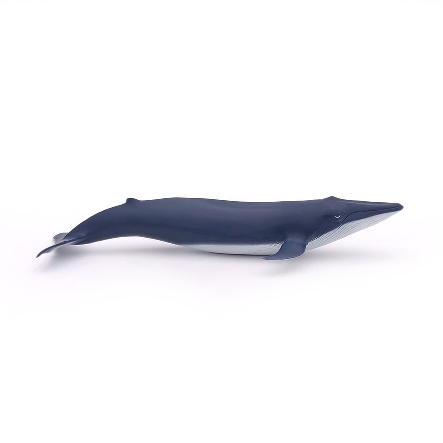 Figurine Bébé baleine bleue