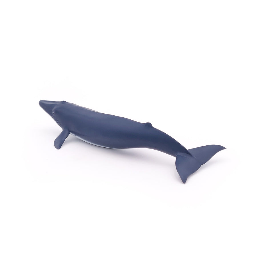 Figurine Bébé baleine bleue