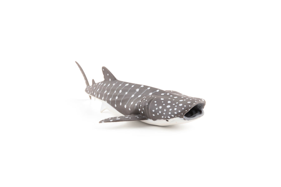 Young Whale Shark Figurine
