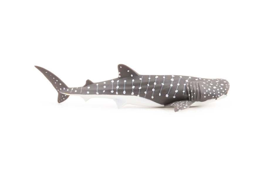 Young Whale Shark Figurine