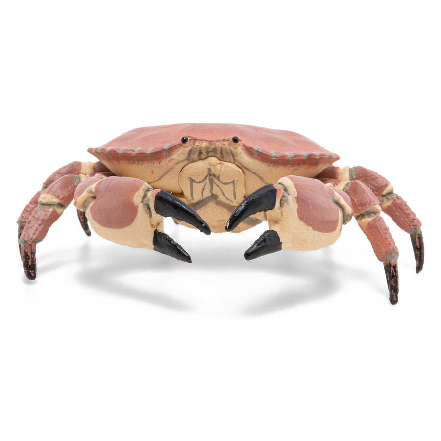 Figurine Crabe