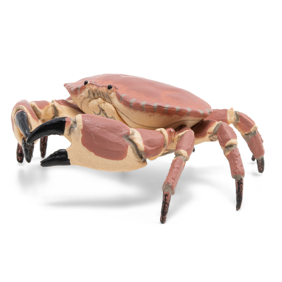 Figurine Crabe