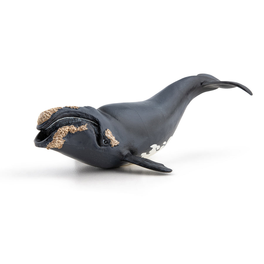 Right Whale Figurine