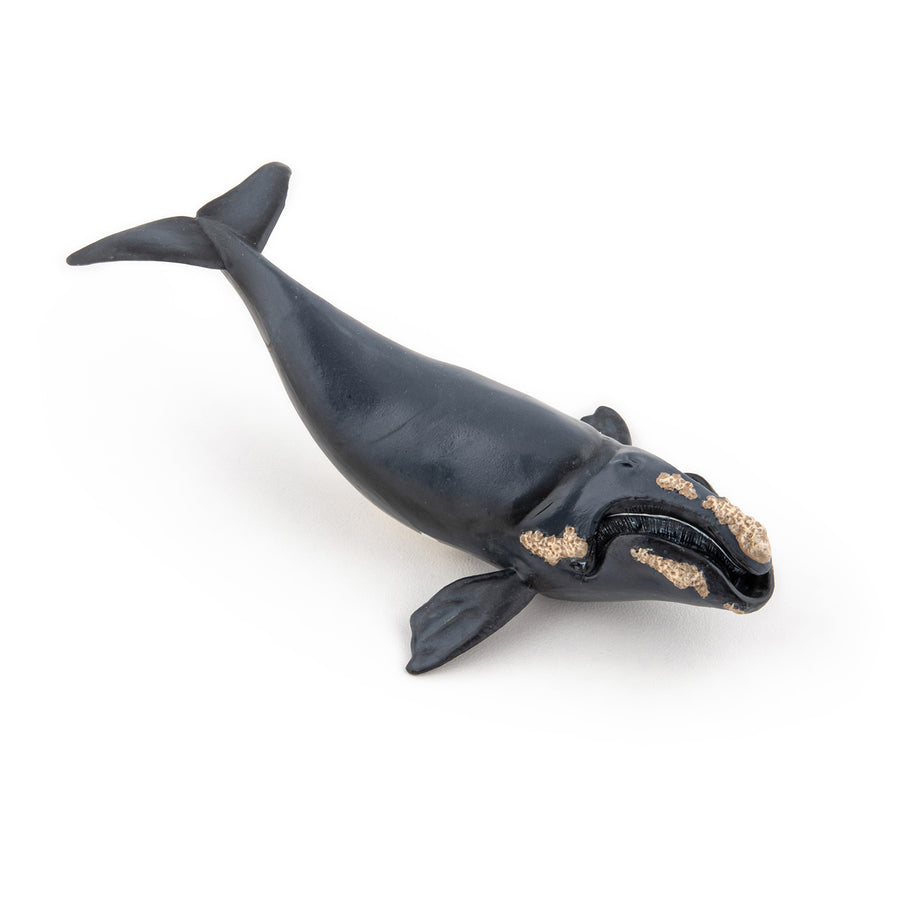 Right Whale Figurine