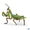 Praying mantis