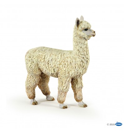 Alpaca