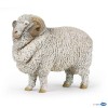 Merino sheep